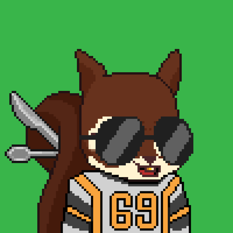 Pixel Squirrels #9572